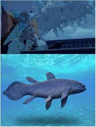 Image result for Atlantis Dark Aqua 1965 AMC