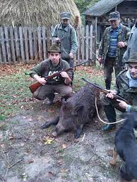 Vanatoare de mistret asociatia de vanatoare o v hunting duration. Vanatoare De Mistreti Photos Facebook