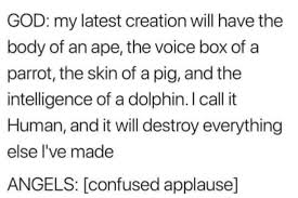 Funny Memes Am I A Joke To You Am I A Joke To You Mydailylol Com Memes Funnymemes Lolmemes Hilarious Tumblr Funny Funny Memes