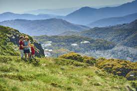 Open from 8:30am to 5:00pm daily during the snow season. Mt Buller Accommodation