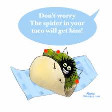 Clean taco jokes for kids. Funny Clean Taco Jokes For Kids Weird World