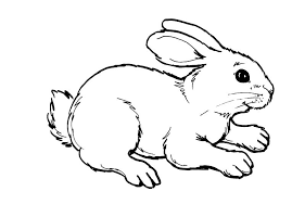 Rabbit clipart black and white. Standing Bunny Black And White Clipart Novocom Top