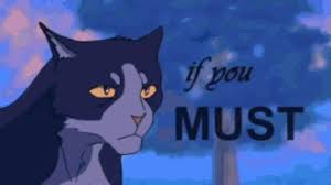 Sorry, me again, the person who asked about the warrior cats story. Official Warrior Cat Book Of Random A Gif Cake Wattpad