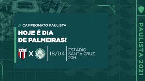 Все матчи последние 5 последние 10 последние 25. Botafogo Sp X Palmeiras Numeros Estatisticas E Curiosidades Da Partida Palmeiras