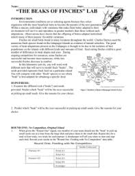 The beak of the finch to demonstrate to her students how quickly selective pressure can. Information On Finch Beaks