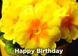 We did not find results for: Happy Birthday Flowers Images For Facebook Happy Birthday Wishes Memes Sms Greeting Ecard Images