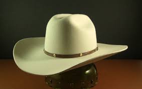 Mens Stetson Felt Western Cowboy Hat Size 7 From Etsy Cowboy Hats Western Cowboy Hats Stetson