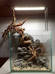 Aquarium Hardscape Akuarium Ikan Tropis Tropis