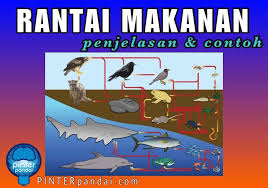 Pin Di Tips Cara Pintar Dalam Kehidupan Sehari Hari Anda