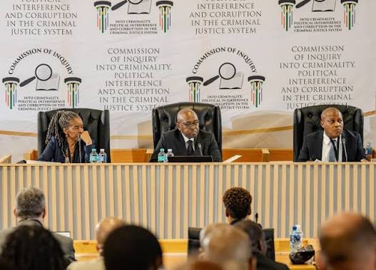 Madlanga Commission: World Bank expert exposes loopholes in SAPS' asset disclosure systems
