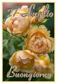 Pin Di Marianna Di Filippo Su 2020 Buongiorno Buonanotte Peonie Rosa
