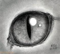 How To Draw A Cat Eye Finalprodigy Com Cat Eyes Drawing Eye Art Eye Drawing
