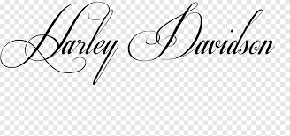 While many of the decals you'll find out there focus on the famous bar and shield shape, this one takes that idea to a new level by making the lettering the beautiful harley orange. Logo Paper Harley Davidson Stencil Font Grand Lodge Of Spain Angle White Png Pngegg