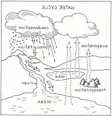 Click on the thumbnail of the coloring sheet you'd. Water Cycle Drawing Without Colour Novocom Top