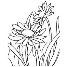Hi folks , our newly posted coloringsheet that you canhave a great time with is best spring flower picture coloring page, posted in spring flowercategory. Top 35 Free Printable Spring Coloring Pages Online