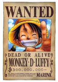 997 x 788 png 673 кб. One Piece Wanted Posters One Piece Wallpaper Iphone One Piece Luffy One Piece Manga