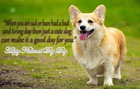 26 marks national dog day, which, unlike so many of the other national days, feels entirely necessary and important. Inspirational National Dog Day Quotes 2020 Images All Holiday Bd