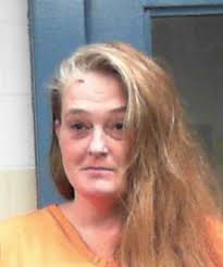 Woman charged after allegedly 'ripping chunk of hair' out of child's head  during altercation in Fairmont