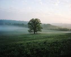 The photographer documenting Missouri's changing landscape