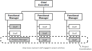 the 4 types of project organizational structure