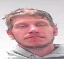 Wayne County High School Homecoming Court