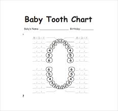 Primary Teeth Letters Chart Www Bedowntowndaytona Com