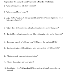 The strand that contains the gene is called the sense strand. Replication Transcription And Translation Practice Chegg Com
