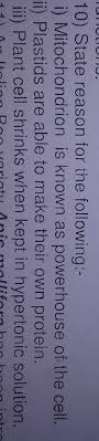 Check spelling or type a new query. Please Answer This Brainly In