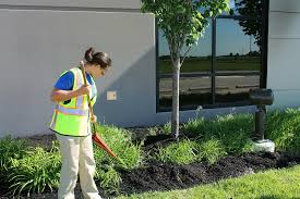 We offer commercial and residential lawn maintenance to our clients. Jay Crew Building Lasting Impressions
