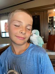 Introduction and new baby photo