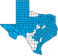 Call your primary care provider today to schedule an appointment before heading back to school. Hmo Blue Texas Blue Cross Blue Shield Of Texas