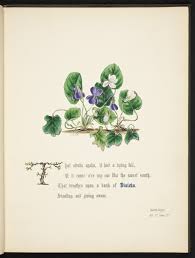 We did not find results for: Shakespeare And The Blossoming Of Jane Elizabeth Giraud