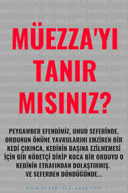 Muezza Yi Tanir Misiniz Www Corek Otu Yagi Com 2020 Otlar Guzel Soz Gercek Hikayeler