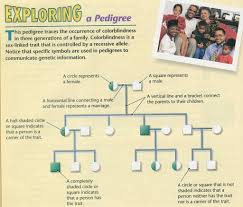 Start studying parenting quiz 12/ 13. Human Inheritance Quizlet True Or False Shared Flashcard Set