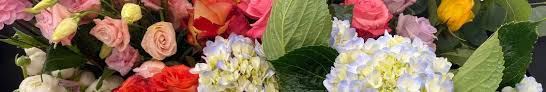 Professional gardening services on hirerush.com. Martin S Home Garden Linkedin