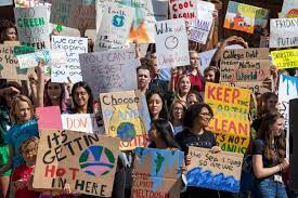 Vsco Girls And Political Activism – The Flintridge Press