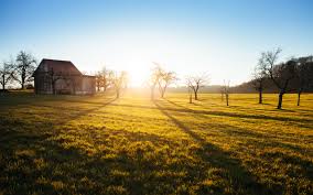 Kostenlose foto : Landschaft, Baum, Natur, Gras, Horizont, Himmel,  Sonnenaufgang, Sonnenuntergang, Feld, Bauernhof, Rasen, Wiese, Prärie,  Sonnenlicht, Morgen, Hügel, Dämmerung, Land, Hütte, Abend, Ländlichen,  Herbst, Landwirtschaft, Jahreszeit, Ebene ...