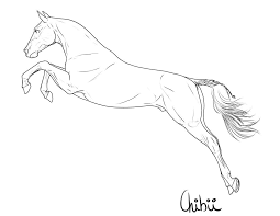 Pin On Horse Coloring