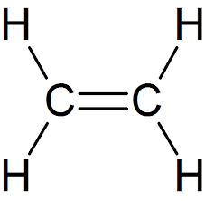 So any monosubstituted alkene has essentially the same thermodynamic stability. How Do We Check The Stability Of An Alkene Quora