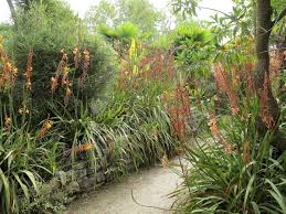 Agoda.com tagab madalaimad hinnad paljude teiste rahvuspargid lähedastes hotellides. Jardin Exotique De Roscoff Jardin Exotique Jardins Planter Des Fleurs