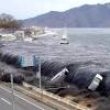 In deep water it travels as fast as 800 km (500 miles) per hour. Https Encrypted Tbn0 Gstatic Com Images Q Tbn And9gctihv Iq4hbatu9cwhx Lwqy5rgzjvrqamsgbowwdiv0oajt8dz Usqp Cau