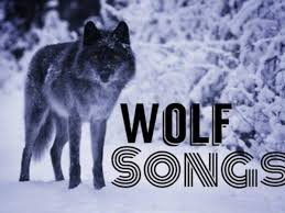 Png wolf head transparent wolf head png images pluspng. Top 10 Wolf Songs Spinditty