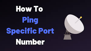 It does not change due to a service or system restart. How To Ping Specific Port Number Devconnected