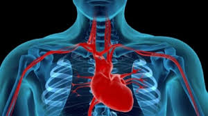 Deseori angina pectorala este confundata cu infarctul miocardic. Cum Recunosti Un Preinfarct Si Care Sunt ComplicaÅ£iile Ce Pot ApÄƒrea