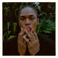 Jessica dos Remedios