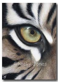 Google Image Result For Http Www Faithfulfriendsportraits Co Uk Animal 2520artists 2520 2520eye 2520of 2520the Pop Art Animals Animal Drawings Wildlife Art