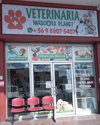 Veterinaria Mascota Planet, Puerto Montt