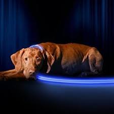 Pin On Dog Collars Harnesses Leashes And Id Tags