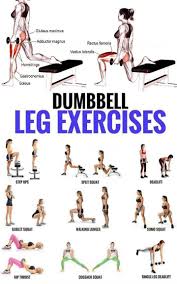 Best Leg Exercises You Can Do At Home In 2020 Dumbbell Leg Workout Leg Workouts Gym Lower Body Workout