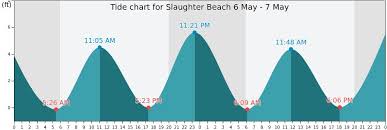 33 Unfolded Slaughter Beach Tides